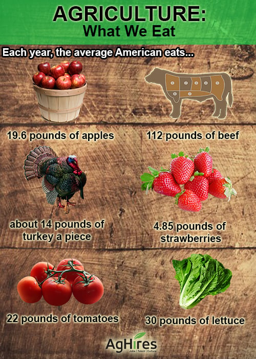 each-year-the-average-american-eats